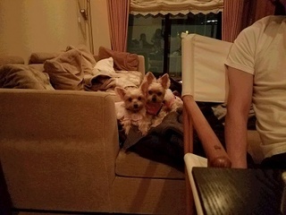 20161225_011340.jpg