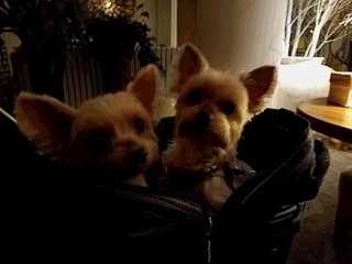 20170217_182120.jpg