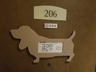20170325_151358.jpg