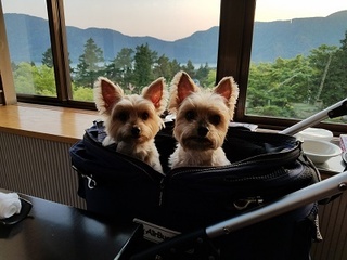 20170520_181730.jpg