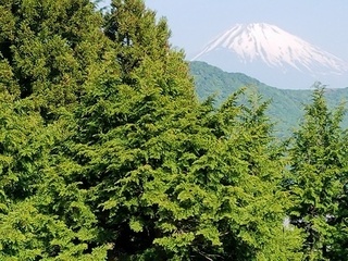 20170521_080215.jpg