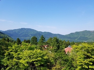 20170521_081015.jpg