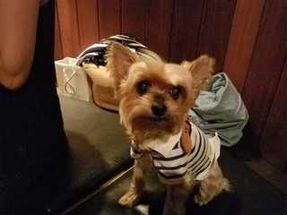 20170610_190839.jpg
