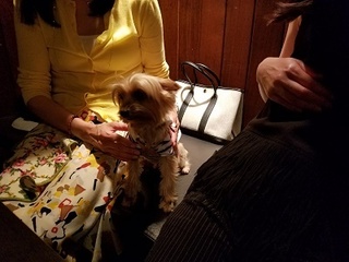 20170610_190847.jpg