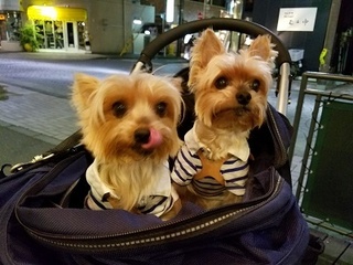 20170610_211706.jpg