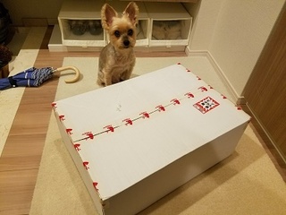 20170818_111953.jpg