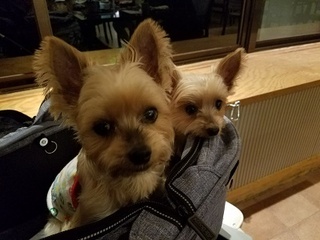 20171022_195736.jpg