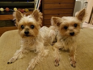 20171224_213640.jpg
