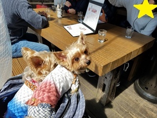 20180325_122616.jpg