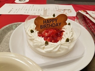 20180325_200431.jpg