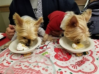 20180325_200956.jpg