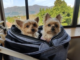 20180326_081023.jpg