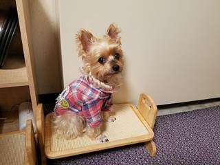 20180326_093330.jpg