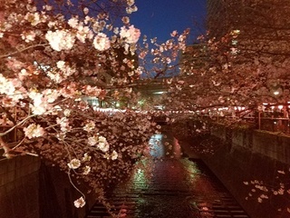 20180326_183229.jpg