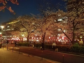 20180326_183411.jpg