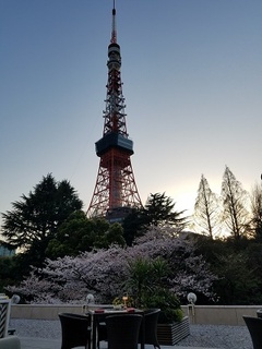 20180330_172737.jpg