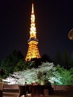 20180330_195129.jpg
