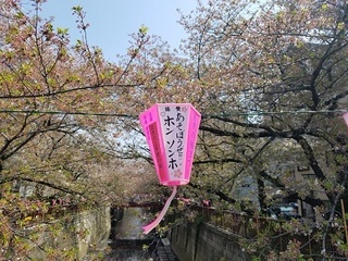 20180401_124533.jpg