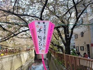 20180401_124543.jpg