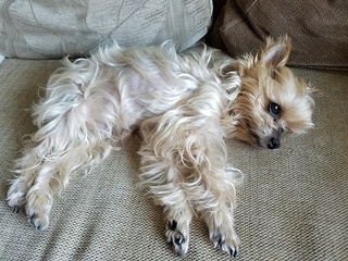 20180421_140330.jpg