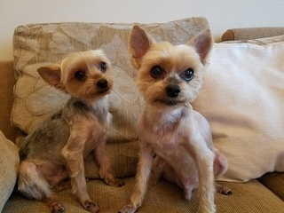 20180423_154916.jpg