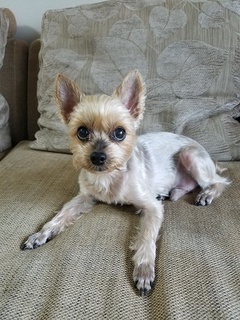 20180508_091611.jpg