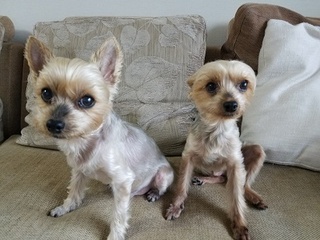 20180508_091709.jpg