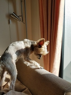 20180512_064926.jpg