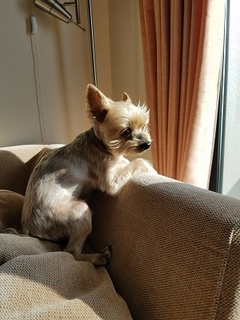 20180512_064949.jpg