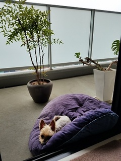 20180512_112250.jpg
