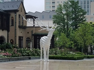 20180513_165739.jpg