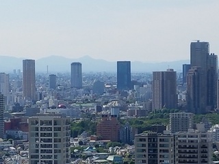 20180520_144425.jpg