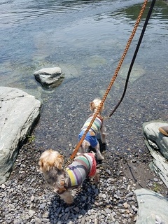 20180527_125948.jpg