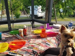 20180527_160749.jpg