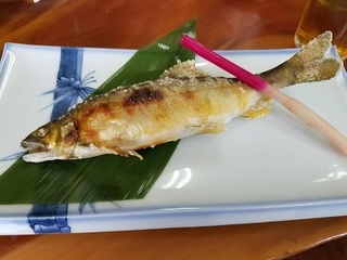 20180528_105708.jpg