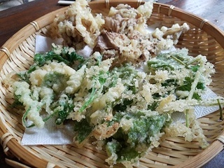 20180528_120315.jpg