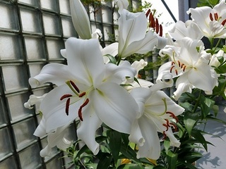20180622_111523.jpg