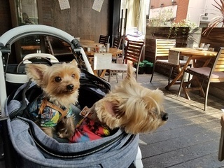 20180624_161035.jpg