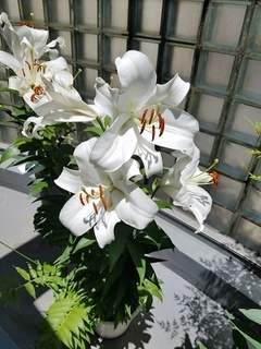 20180627_123051.jpg