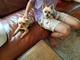 20180714_170057.jpg