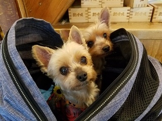 20180716_172216.jpg