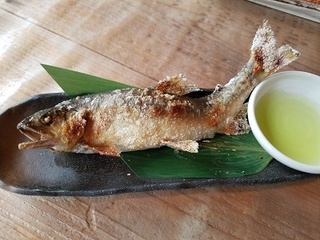 20180723_172549.jpg