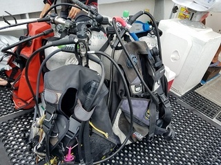 20180802_080616.jpg