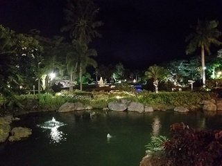20180802_203446.jpg