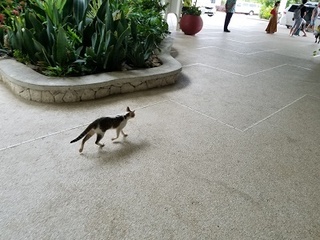 20180804_134846.jpg