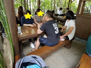 20180820_115419.jpg