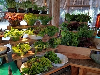 20180917_070927.jpg