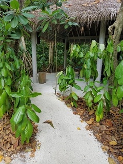 20180917_090048.jpg