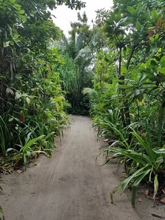 20180917_091341.jpg