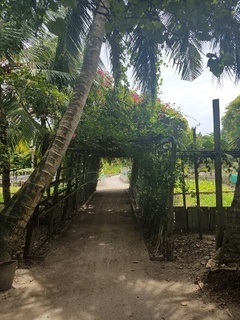 20180917_104838.jpg